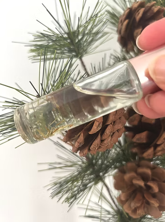 3 huiles essentielles pour soutenir ton mental en hiver